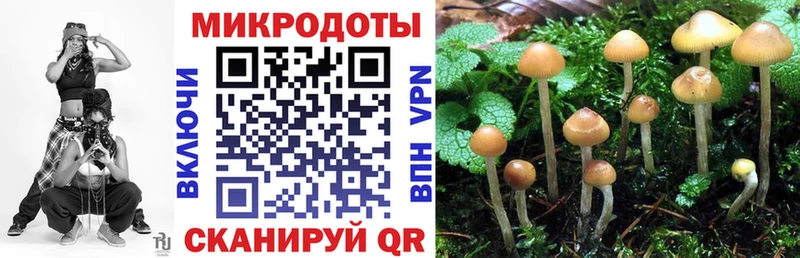 Галлюциногенные грибы прущие грибы Ленинск-Кузнецкий